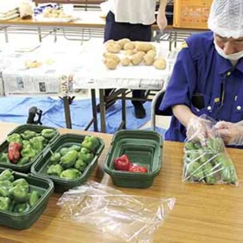 ちょっとした話